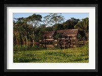 Scenes along the Amazon River in Peru Fine Art Print