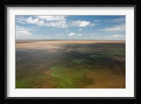 Brazil, Amazon River, Algae bloom Fine Art Print