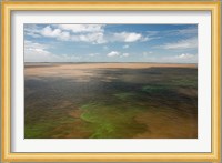 Brazil, Amazon River, Algae bloom Fine Art Print