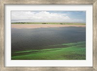 Brazil, Amazon River, Santarem Meeting of the Waters Algae bloom Fine Art Print