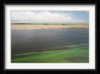 Brazil, Amazon River, Santarem Meeting of the Waters Algae bloom Fine Art Print