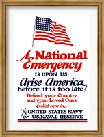 A National emergency, Arise America Fine Art Print