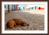 Cuba, Trinidad Dog sleeping in the street Fine Art Print