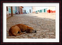 Cuba, Trinidad Dog sleeping in the street Fine Art Print