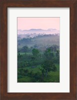 Limestone hill, farmland, Vinales Valley, UNESCO World Heritage site, Cuba Fine Art Print