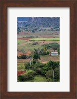 Cuba, Pinar del Rio Province, Vinales Valley Fine Art Print