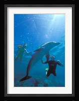 Caribbean Sea, Curacao Fine Art Print