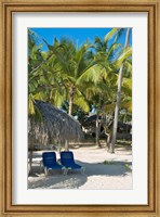Beach Chairs, Viva Wyndham Dominicus Beach, Bayahibe, Dominican Republic Fine Art Print