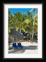 Beach Chairs, Viva Wyndham Dominicus Beach, Bayahibe, Dominican Republic Fine Art Print