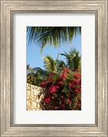 Viva Wyndham Dominicus Beach, Bayahibe, Dominican Republic Fine Art Print