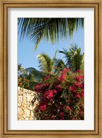 Viva Wyndham Dominicus Beach, Bayahibe, Dominican Republic Fine Art Print