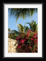 Viva Wyndham Dominicus Beach, Bayahibe, Dominican Republic Fine Art Print