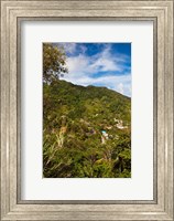 Dominica, Roseau, Grand Bay Area, Petite Savanne Fine Art Print