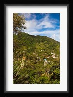 Dominica, Roseau, Grand Bay Area, Petite Savanne Fine Art Print
