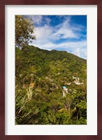 Dominica, Roseau, Grand Bay Area, Petite Savanne Fine Art Print