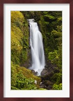 Dominica, Roseau, Trafalgar Waterfalls Fine Art Print