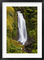 Dominica, Roseau, Trafalgar Waterfalls Fine Art Print