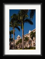 Palm tree, Riu Palace, Bavaro Beach, Higuey, Punta Cana, Dominican Republic Fine Art Print