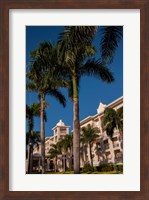 Palm tree, Riu Palace, Bavaro Beach, Higuey, Punta Cana, Dominican Republic Fine Art Print
