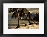 Playa Rincon beach, Las Galeras, Samana Peninsula, Dominican Republic Fine Art Print