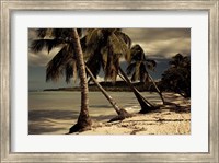 Playa Rincon beach, Las Galeras, Samana Peninsula, Dominican Republic Fine Art Print