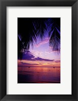 Sunset on the beach, Negril, Jamaica, Caribbean Fine Art Print