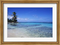 Beach and Palms in Sainte Anne, Guadeloupe Fine Art Print