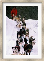 Dog Sled Racing in the 1991 Iditarod Sled Race, Alaska, USA Fine Art Print