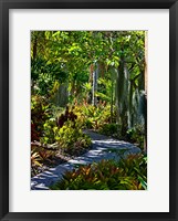 Nature Trail in Charlestown on Nevis, West Indies Fine Art Print