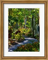 Nature Trail in Charlestown on Nevis, West Indies Fine Art Print