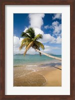 Coconut Grove Beach, Cades Bay, St Kitts, Caribbean Fine Art Print