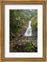 Puerto Rico, El Yunque, La Mina Waterfalls Fine Art Print