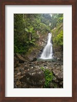 Puerto Rico, El Yunque, La Mina Waterfalls Fine Art Print