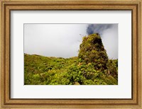 Rim of Summit Crater on Mt Pelee, Martinique, French Antilles Fine Art Print