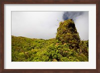 Rim of Summit Crater on Mt Pelee, Martinique, French Antilles Fine Art Print