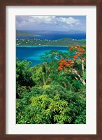 Magens Bay, St Thomas, Caribbean Fine Art Print