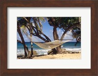 Hammock tied between trees, North Shore beach, St Croix, US Virgin Islands Fine Art Print