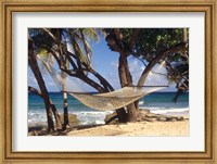 Hammock tied between trees, North Shore beach, St Croix, US Virgin Islands Fine Art Print
