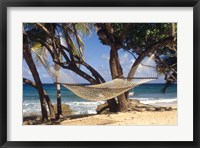 Hammock tied between trees, North Shore beach, St Croix, US Virgin Islands Fine Art Print