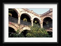 Balcony with Flowers and Trees, Puerto Rico Fine Art Print