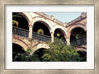 Balcony with Flowers and Trees, Puerto Rico Fine Art Print
