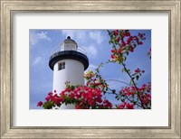Puerto Rico, Viegues Island, lighthouse of Rincon Fine Art Print