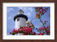 Puerto Rico, Viegues Island, lighthouse of Rincon Fine Art Print