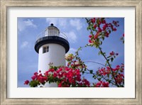 Puerto Rico, Viegues Island, lighthouse of Rincon Fine Art Print