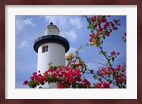 Puerto Rico, Viegues Island, lighthouse of Rincon Fine Art Print