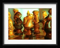 Horned Dorsett, Rincon, Puerto Rico Framed Print