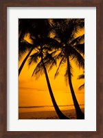 Sunset and Palms, San Juan, Puerto Rico Fine Art Print