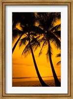 Sunset and Palms, San Juan, Puerto Rico Fine Art Print