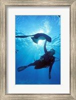 Snorkeling, Stingray City, Grand Cayman, Caribbean Fine Art Print