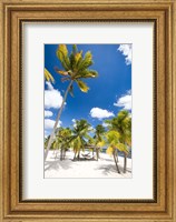 Southern Cross Club, Little Cayman, Cayman Islands, Caribbean Fine Art Print